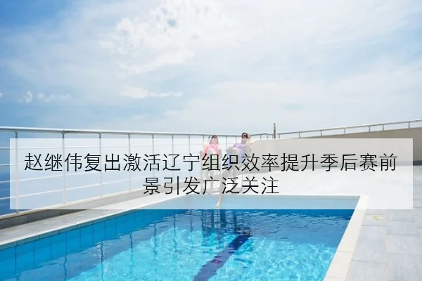 赵继伟复出激活辽宁组织效率提升季后赛前景引发广泛关注